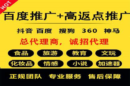 行业领先企业的SEM运营策略案例解析